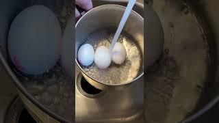 Boiled Egg Pealing Hack !