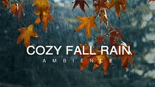 10 Hour   Cozy Autumn Rain Ambience | Fall Leaves  | Sounds for Relaxation | Meditation | Sleep