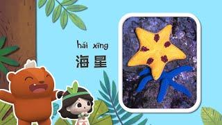 幼儿科普丨认识动物 |大海里也有星星？| Preschool Learning Cartoons |basic science concepts for kids