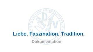 Dokumentation: Der Heimflug der Brieftaube - Verband Deutscher Brieftaubenzüchter e.V.