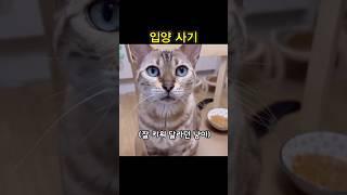 입양 사년만에 알게된 진실