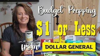 $20 Budget Pantry Stock Up from Dollar General