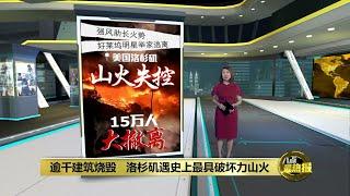 美国洛杉矶山火失控   逾千建筑烧毁15万人大撤离  | 八点最热报 09/01/2025