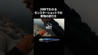 【30秒でわかる】モンスターショットでの青物の釣り方 #shorts