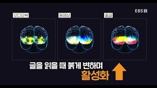 EBS '당신의 문해력' - 글 VS 오디오 VS 동영상 : 매체에 따라 우리 뇌는 어떻게 반응할까요? (OBELAB 오비이랩 NIRSIT LITE)