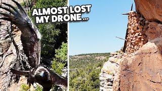   A Golden Eagle Attacked My Drone While I Was Scouting For Ruins!