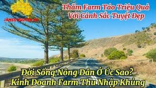 Đời Sống Nông Dân Ở Úc Sao? Kinh Doanh Farm Thu Nhập Khủng. Thăm Farm Táo Triệu Quả Tuyệt Đẹp