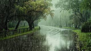 Rainy road Best Rain sound for Insomnia and Sleep ASMR Heavy rain White noise for Relaxation