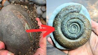 How I Prepare Fossils - Amazing Ammonite Transformation