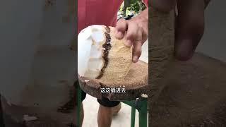 coconut sprout, edible coconut, coconut nut, coconut milk #coconut #shorts #short #shortvideo #fruit