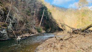 Trout Fishing The Most Beautiful Stream In Pennsylvania #fishing #trout #fish