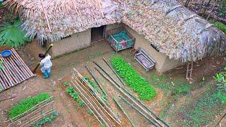 Single Mother Ly Tieu Ca Roofing the Water Use Area: Ly Tieu Ca's Life