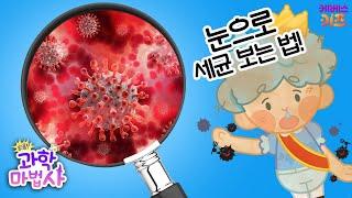 더러운 손에 세균이 바글바글! 세균이 보고싶어!ㅣ눈으로 세균 보는 법ㅣ팡팡 과학 마법사ㅣKBS 230116 방송