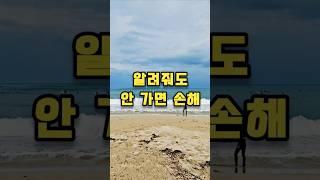  양양 물치 해수욕장, 서핑 & 차박의 모든 것! Yangyang Mulchi Beach: All about surfing & car camping!