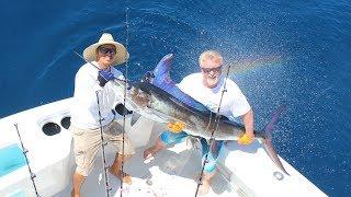 Armada Sport Fishing "Strictly Business"  Fishing Trips In Cabo San Lucas