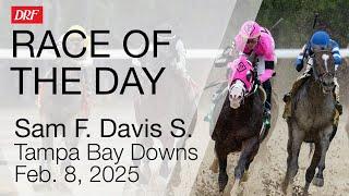 DRF Saturday Race of the Day | Sam F. Davis Stakes | February 8, 2025