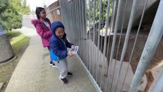 Cougar mountain zoo tour