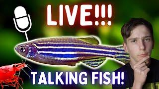 Lazarus the fish boy Live: Q n A & Hanging Out Talking Fish!