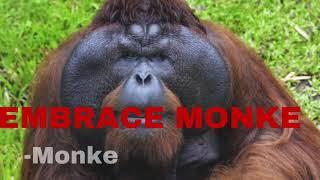 REJECT HUMANITY, EMBRACE MONKE