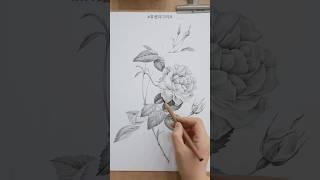 이것만 알아도 잘 그려보여요