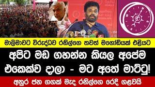 මාලිමාව පරද්දන්න රනිල්ගෙන් අලුත්ම ප්ලෑනක් | අනුරට අතේ මාට්ටු!