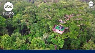 Is this rainforest treehouse the world's coolest classroom?