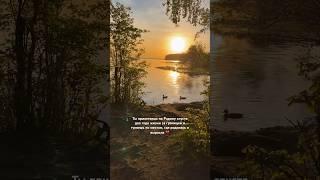 Родные края ️ #родина #эмиграция #эмигрант #россия #природа #эмигранты #любовь #дом #russia #nature