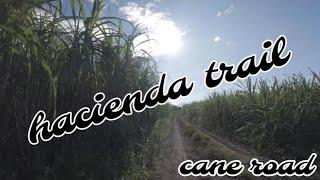 Hacienda trail ride / cane road / Negros Occidental / Al Lanzky TV