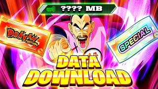 CONTENT INCOMING! Tao Celebration + Dokkan Day Data Download info! (Dokkan Battle)