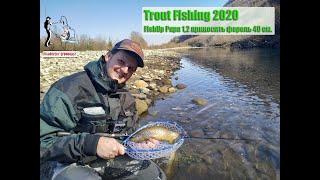 Trout Fishing 2020. FishUp Pupa 1,2 приносить форель 40 см.