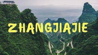 Zhangjiajie National Park || Vlog 9