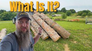 What’s Inside These Mystery Logs? Sawmill Reveal