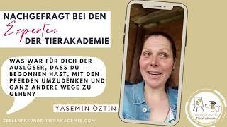 Umdenken mit Pferd: Wie Yasemin ihren "anderen" Weg mit Pferden fand und umsetzte