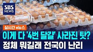 이게 다 '4번 달걀' 사라진 탓?…정체 뭐길래 전국이 난리 / SBS / 실시간 e뉴스