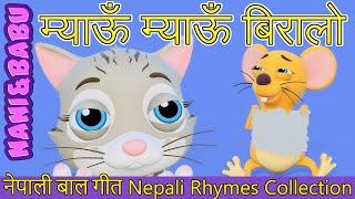 Meow Meow Biralo - Myau Myau Biralo | Nepali Rhymes Collection | लोक प्रिय नेपाली बाल गीत