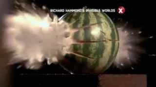 Viasat Explorer - Richard Hammond's Invisible Worlds promo