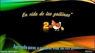 En vida de las gallinas 2- Presentación del canal