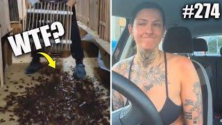 Top 10 Disgusting Jobs | Understanding Women | Live Vibe #274