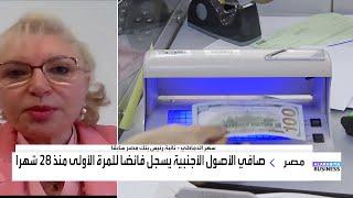 سهر الدماطي: الفائض يدعم ربحية البنوك وينعكس إيجابا على الاقتصاد