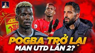 VIỆC PAUL POGBA TÁI XUẤT TRONG MÀU ÁO MAN UTD CÓ KHẢ THI HAY KHÔNG?