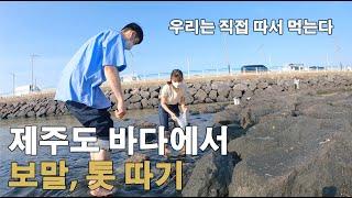 [제주살이커플]제주바다에서 보말, 톳 직접 따서 먹기 (보말따기, 제주시오일장 방문, 카페성지, 용꽈배기, 이호테우해변)