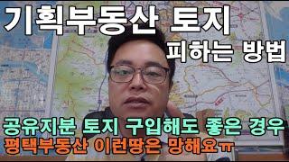 기획부동산 피하는 방법/지분토지 사도되나?/공유지분토지 좋은땅은?/평택부동산 이런땅은 망해요/평택안중역과 평택지제역 비교