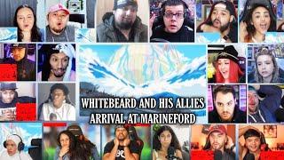 Whitebeard and his Allies Arrival at Marineford Reaction Mashup | One Piece Episode 460