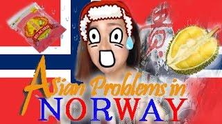 Asian Problems in Norway亚洲人在挪威面对的挑战