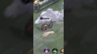 ASURA HEROES EVOLVED #heroesevolved #heroesevolvedmobile #shortsvideo #shortvideo #shorts #short