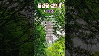 나태주 시 | 들길을 걸으며