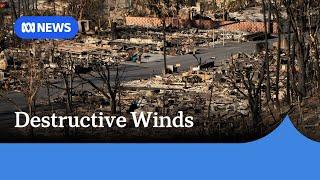 New fire breaks out as severe winds whip southern California | ABC News