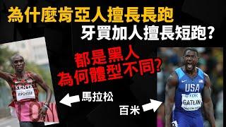 都是黑人 ▶ 為什麼肯亞人擅長長跑? 牙買加人擅長短跑? 為何體格有如此大的差距?