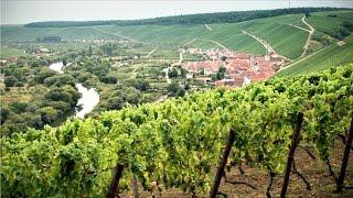 Fränkisches Weinland - entlang der Volkacher Mainschleife