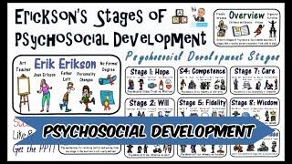 Erik Erikson Stages of Psychosocial Development Theory